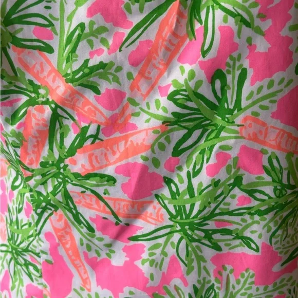 LILLY PULITZER Women's 10 Pink green & orange carrot print sleeveless dress #983 - Picture 2 of 8